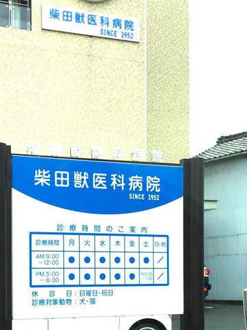 投稿写真7