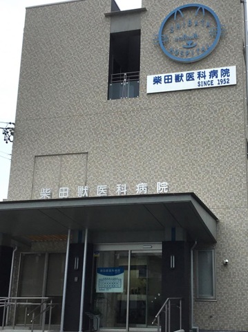 投稿写真1