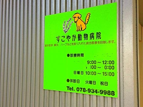 投稿写真5