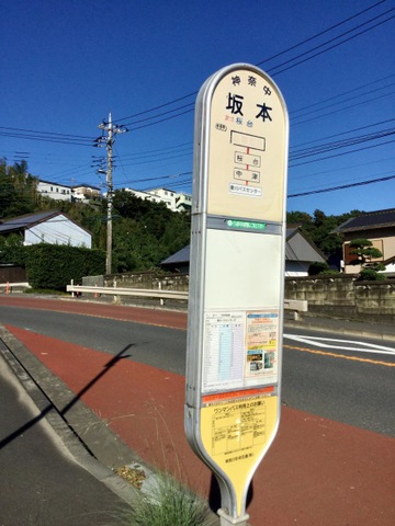 投稿写真2