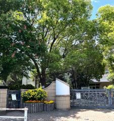 辻小学校