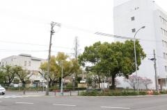 明和高前街園