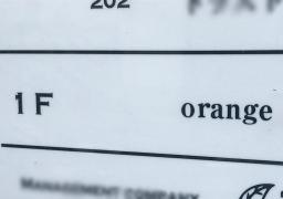 ｏｒａｎｇｅ