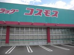 ドラッグストアコスモス　鴨島店