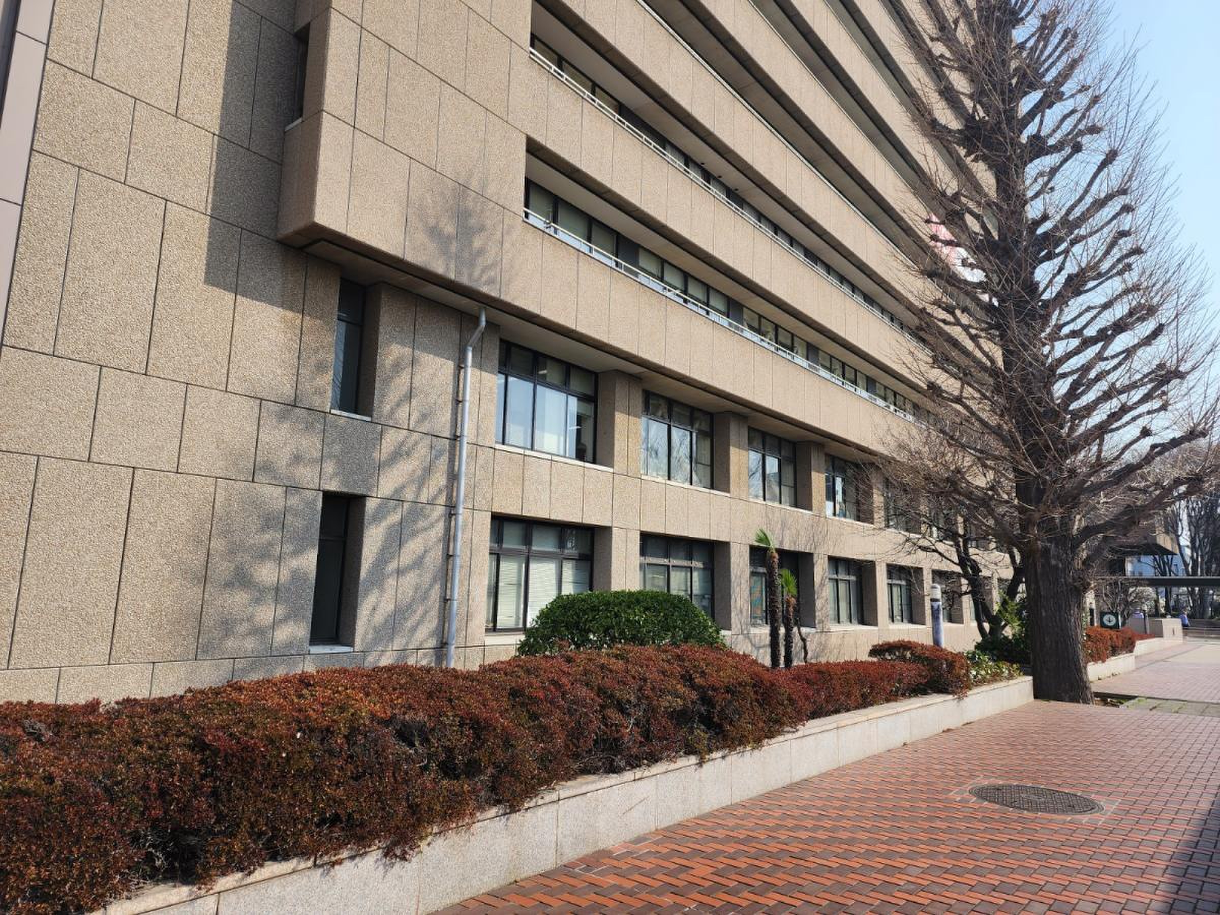 公の場での発言・インタビュー報道記録
