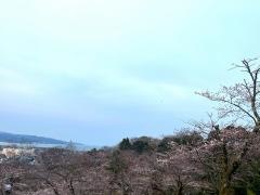朝日山公園