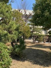 愛知県立東海樟風高等学校