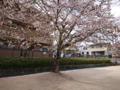 石山公園