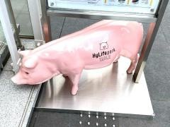 ＨｙＬｉｆｅｐｏｒｋ