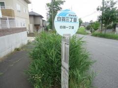 「白羽三丁目」バス停留所
