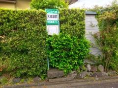 「天城屋前」バス停留所