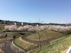 錦ケ丘中央公園