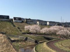 錦ケ丘中央公園