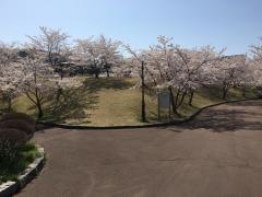錦ケ丘中央公園