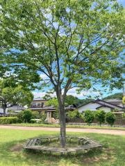 玉露中央公園