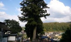 興徳寺