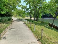 大池公園