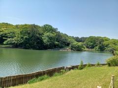 大池公園