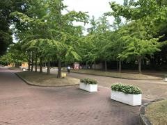 大泉緑地