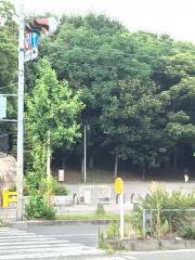 大泉緑地