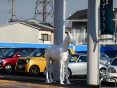 ネッツトヨタ和歌山国体道路店