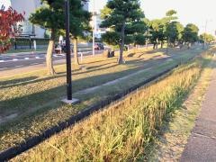 千鳥南公園