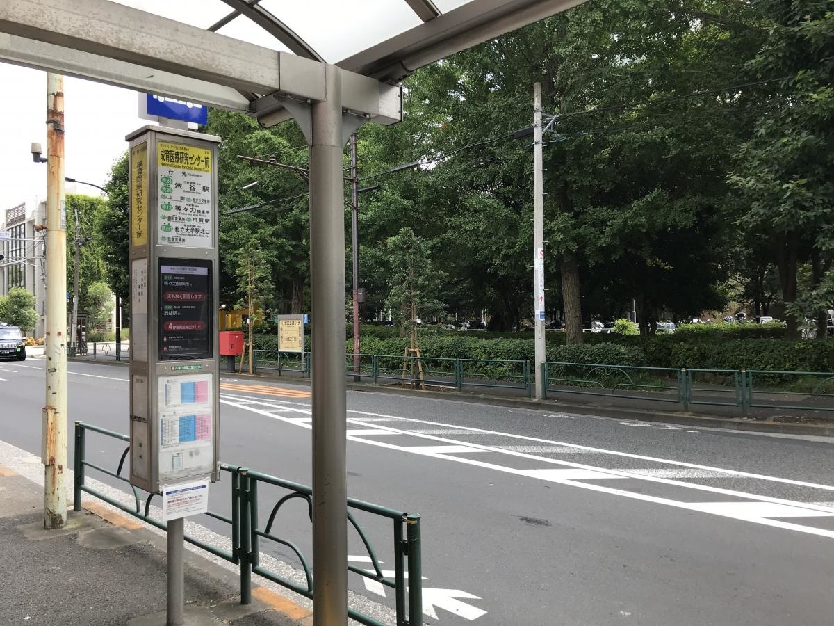 「成育医療研究センター前」バス停留所