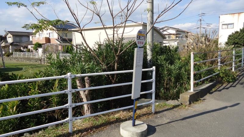 南から撮影