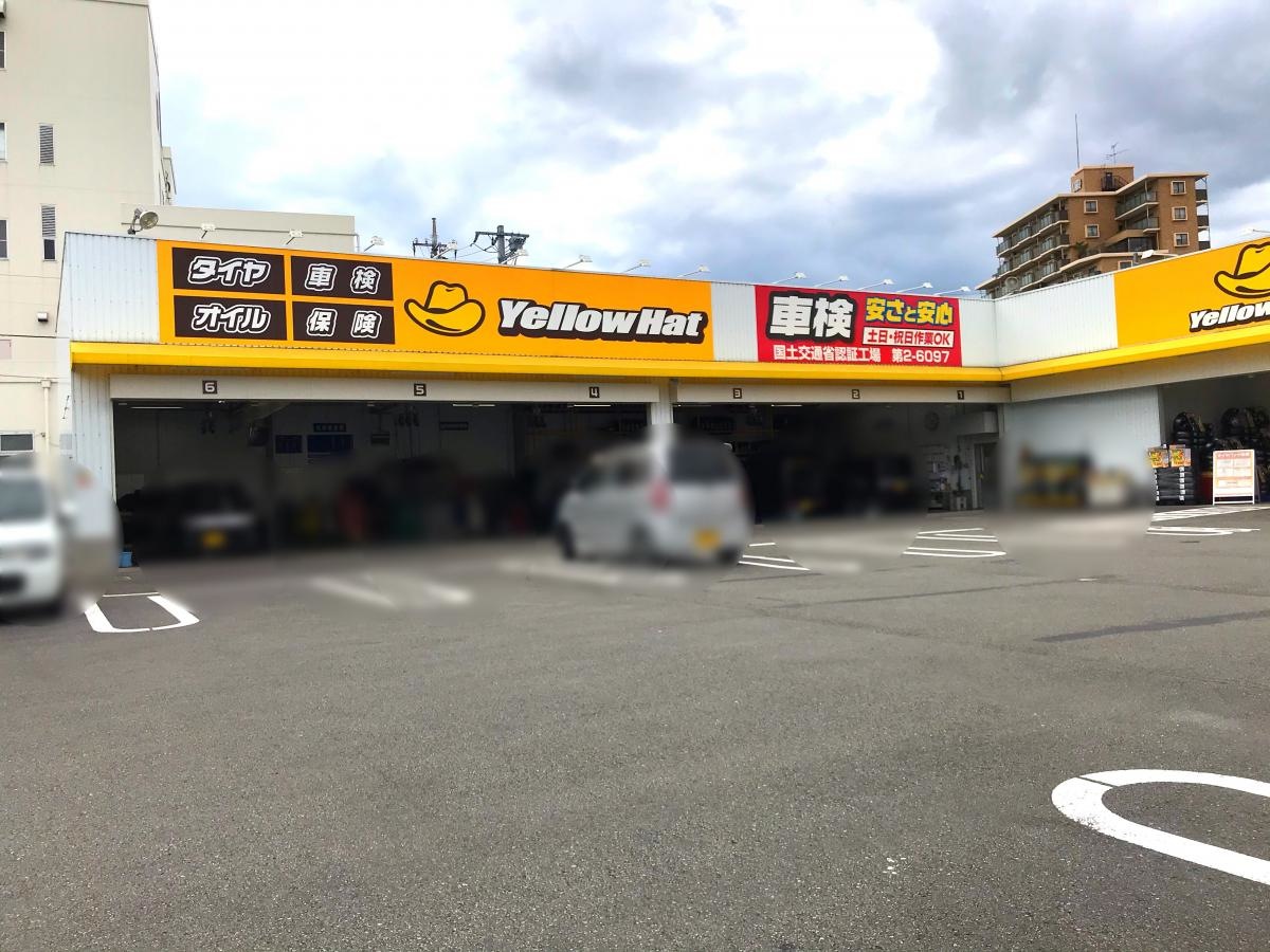 全体