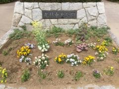 丸林中央公園