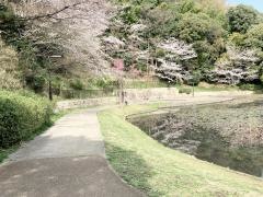 港北ニュータウン1号公園
