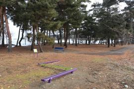 望岳公園