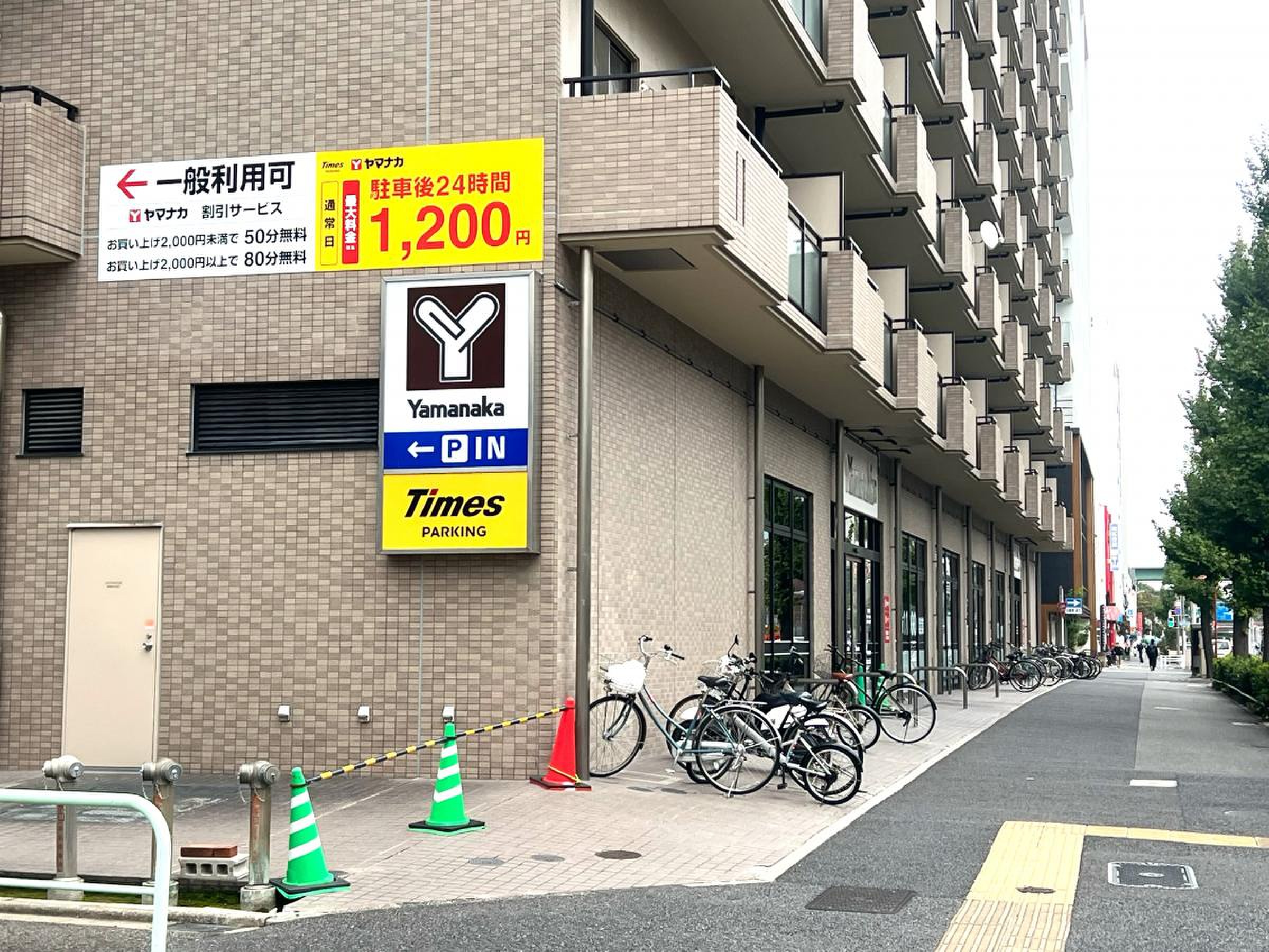 活動歴および当時の関連ビジュアル記録
