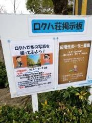 ロクハ公園プール