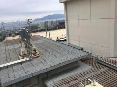井口台小学校