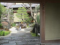 平等院表参道　竹林