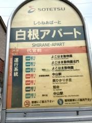 「白根アパート」バス停留所