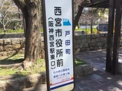 「市役所前」バス停留所