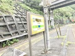 甲斐大和駅