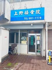 上野接骨院