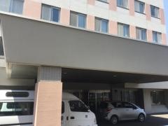 たんぽぽの丘