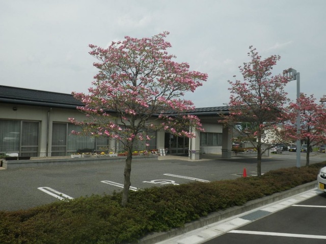 ゆめの里和田 風景