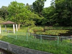 白鳥台北公園