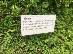 城山公園