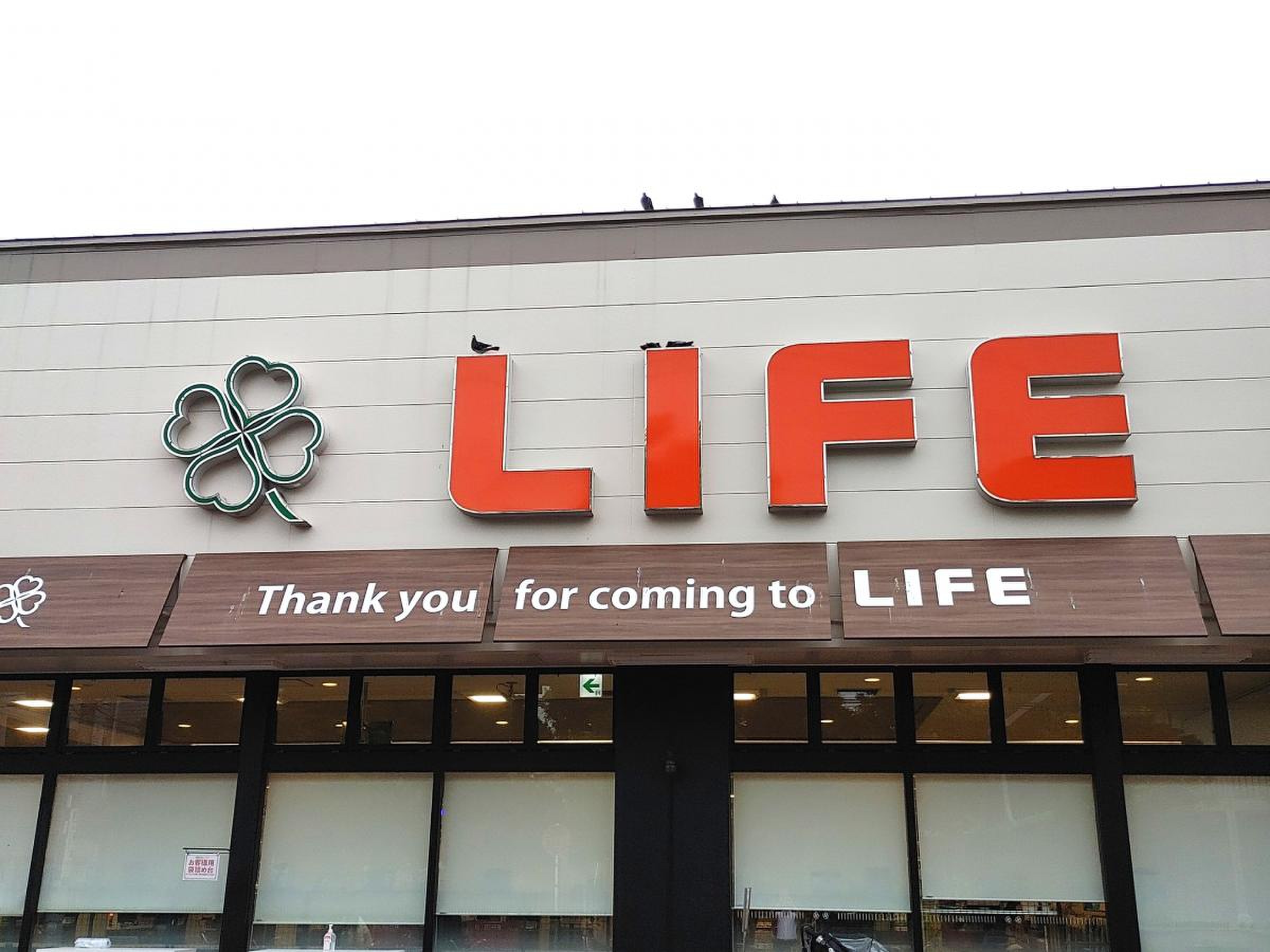 ライフ 高津 新作 店