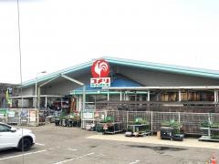 コメリハード＆グリーン　田上店