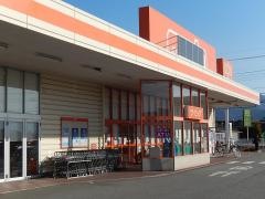 ザ・ビッグ甲府長松寺店