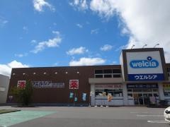 ウエルシア　上田しおだ野店
