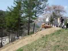 諏訪大社御柱祭（山出し・里曳き）