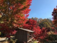 久万高原ふるさと旅行村